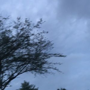 Meet your Posher, Adriana